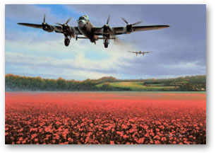 For Freedom - by Richard Taylor