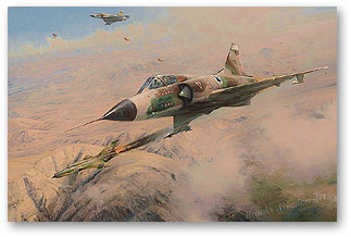 One MiG Down