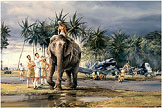 Puttalam Elephants - by Robert Taylor