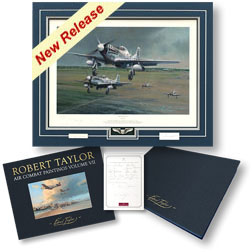 Air Combat Paintings Vol. VII