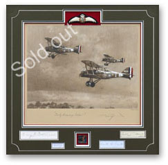 Early Evening Patrol